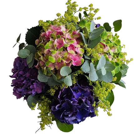 Hydrangea Harmonie Hortensienstrauss mit üppigen Blüten online bestellen in Zürich mit frischer Blumenlieferung