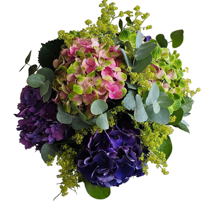 Hydrangea Harmonie Hortensienstrauss mit üppigen Blüten online bestellen in Zürich mit frischer Blumenlieferung