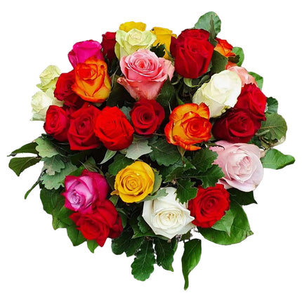 Bunte Max Havelaar Rosen in verschiedenen Farben
