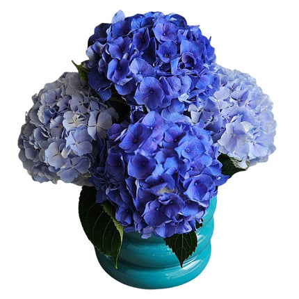 Blaues Monobouquet mit frischen Hortensien in Vase online bestellen Zürich Blumenlieferung