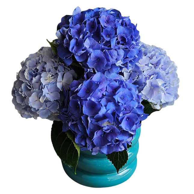 Blaues Monobouquet mit frischen Hortensien in Vase online bestellen Zürich Blumenlieferung