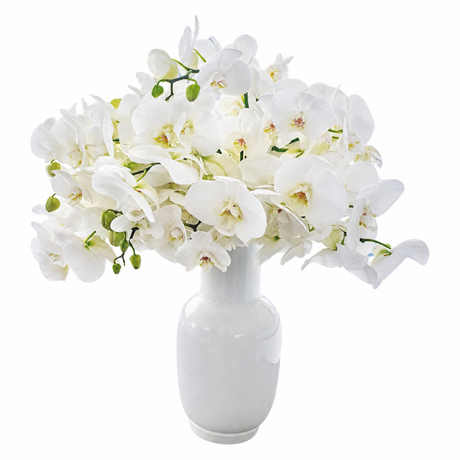 Weisse Orchidee als elegante Schnittblume