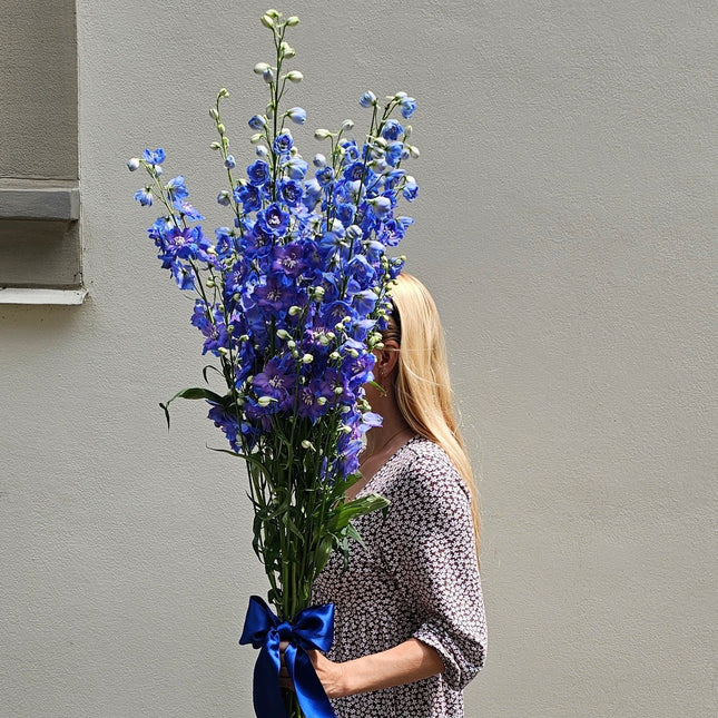 Blauer Rittersporn Blumenstrauss mit hohen eleganten Blüten