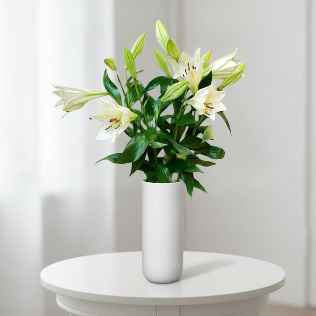 Trompetenlilien Monostrauss mit eleganten duftenden Blüten