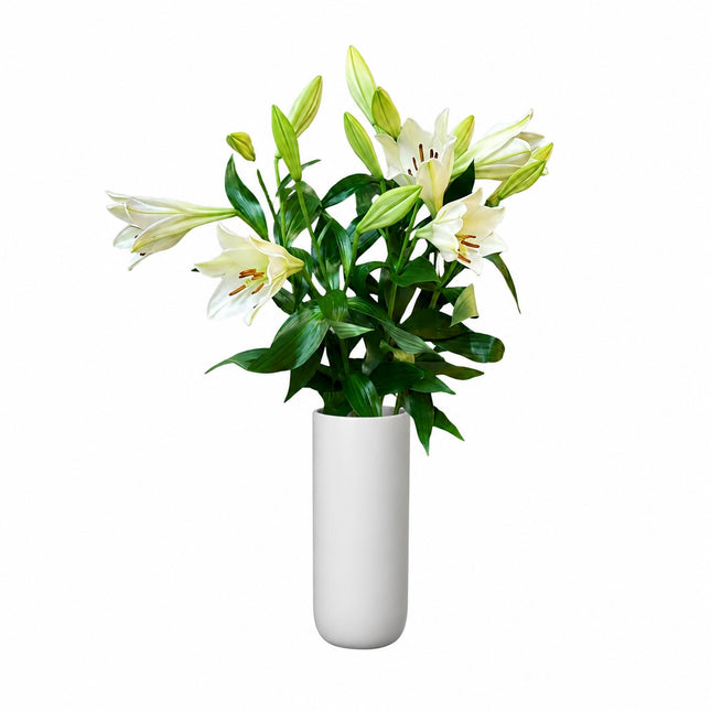 Trompetenlilien Monostrauss mit eleganten duftenden Blüten