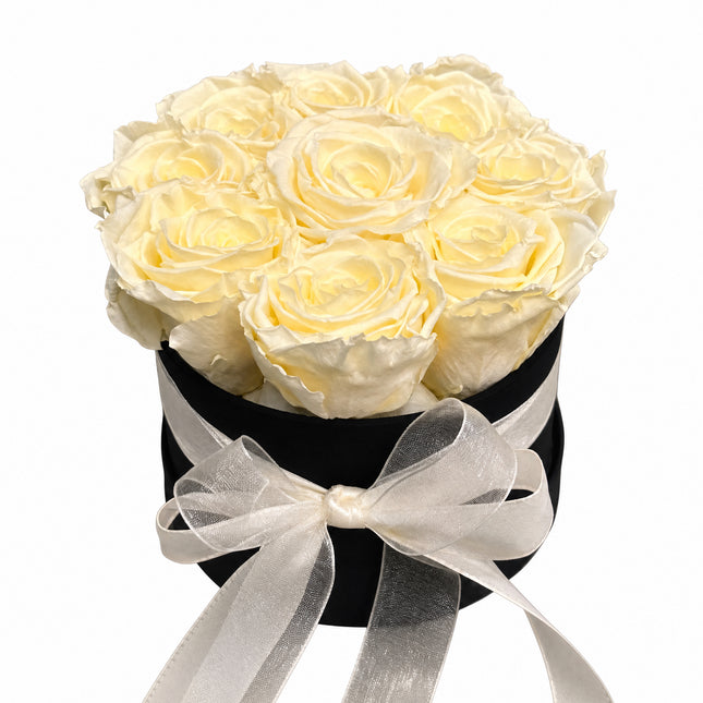 Rosenbox mit stabilisierten crèmefarbene Rosen in hochwertiger Samtbox