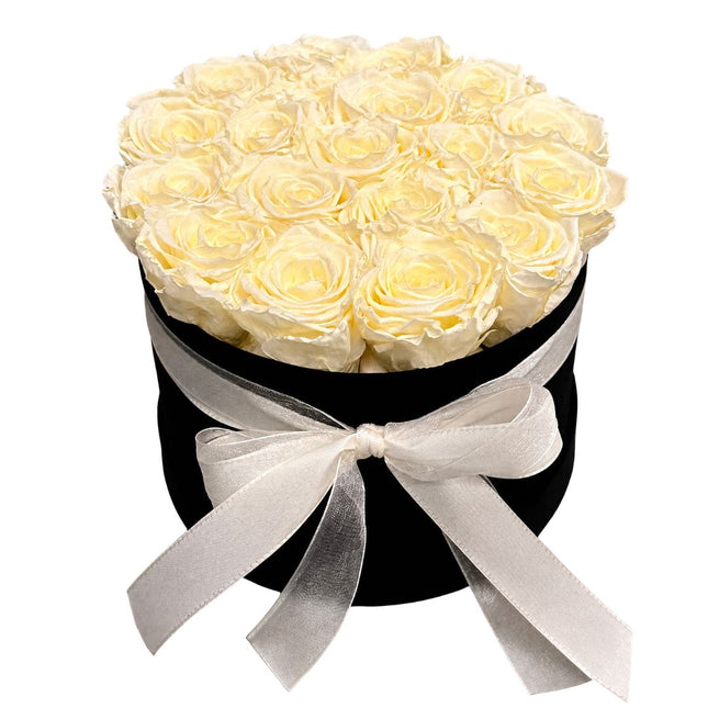 Rosenbox mit stabilisierten crèmefarbene Rosen in hochwertiger Samtbox
