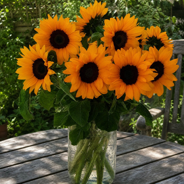 Frische Sonnenblumen in Gelb online bestellen mit Blumenlieferung in Zürich