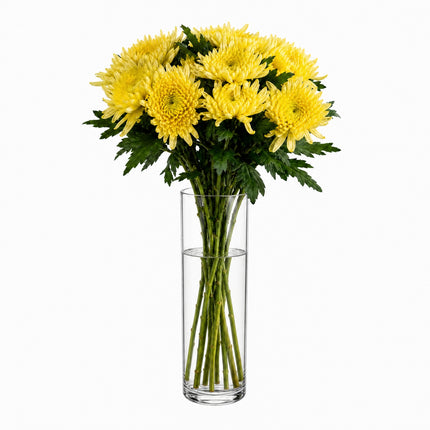 Gelber Chrysanthemen Monostrauss frisch gebunden online bestellen in Zürich