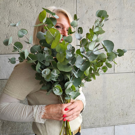 Monobouquet Eukalyptus mit silbrig grünen Blättern online kaufen