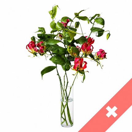 Gloriosa Monobouquet aus Schweizer Anbau mit exotischen Blüten