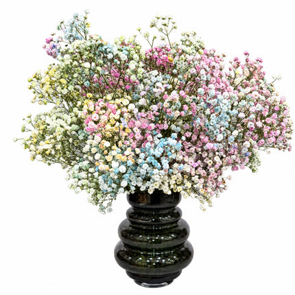 Gypsophila Monobouquet in Rosa Blau und Weiss online bestellen bei Blumen Krämer Zürich