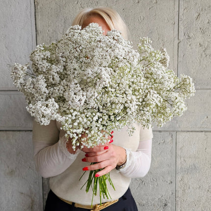 Gypsophila Blumenstrauss mit zarten Schleierkrautblüten online bestellen Zürich
