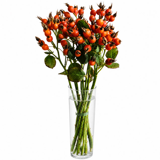 Hagebuttenstrauss in Rot und Orange online bestellen bei Blumen Krämer Zürich