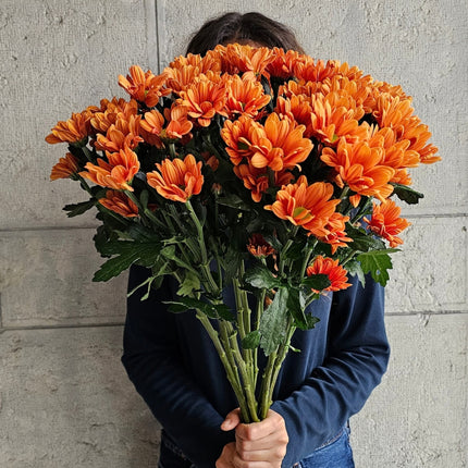 Orange Spray Chrysanthemen als Blumenstrauss online bestellen bei Blumen Krämer Zürich