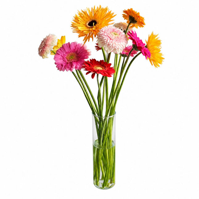 Bunter Germini Monostrauss mit roten, pinken, orangen, gelben und weissen Blüten