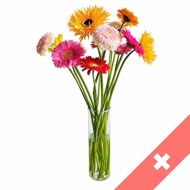 Bunter Germini Monostrauss mit roten, pinken, orangen, gelben und weissen Blüten