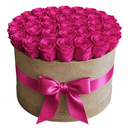 Rose Box Dream