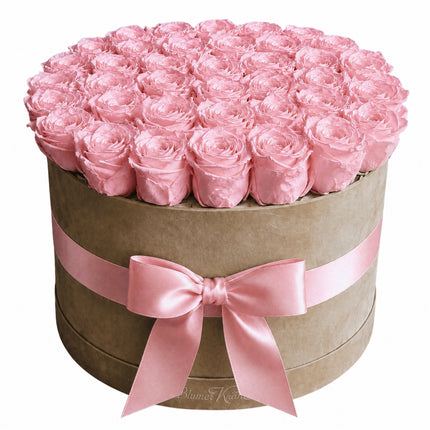 Rose Box Dream