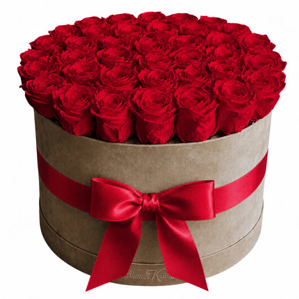 XL Samtbox mit stabilisierten Rosen in Rot