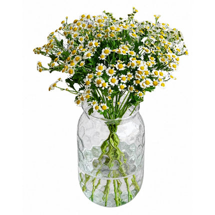 Kamille Monostrauss mit feinen weissen Blüten und gelber Mitte