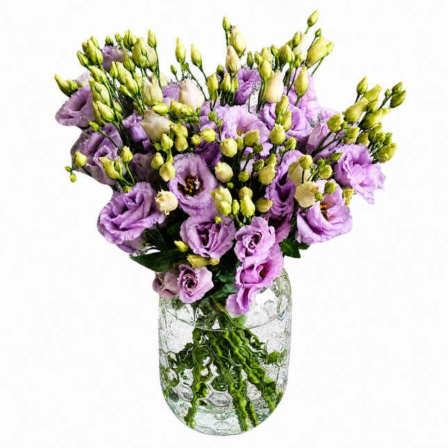 Eustoma
