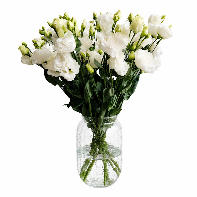 Eustoma
