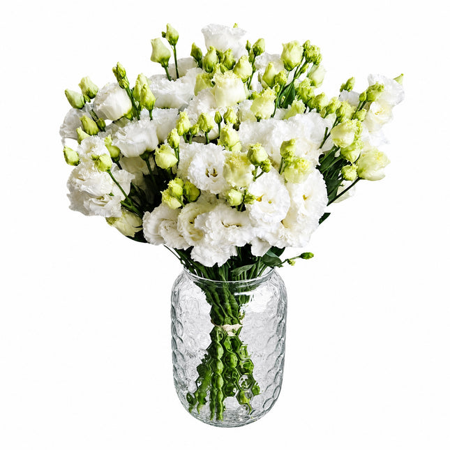 Eustoma