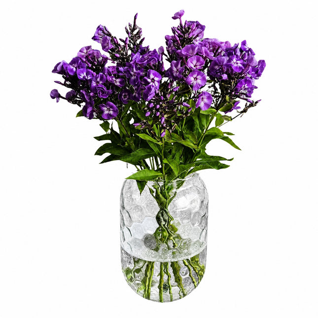 Phlox Monobouquet mit zarten Blüten