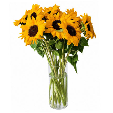 Frische gelbe Sonnenblumen online bestellen in Zürich